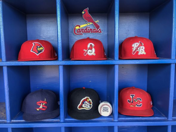 2018 Minor League Baseball Affiliate Cap Collections | Chris Creamer&#39;s SportsLogos.Net News and ...