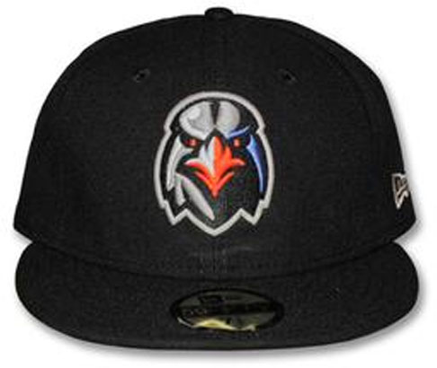 Aberdeen Ironbirds Update Identity for 2013 – SportsLogos.Net News