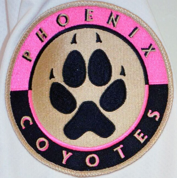 Portland Pirates Unveil Pink in the Rink Jersey – SportsLogos.Net News