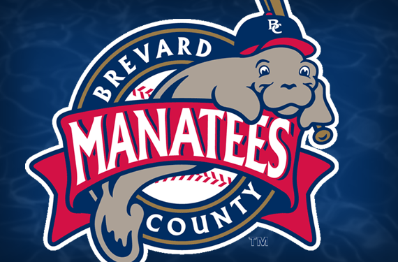 Holy Sea Cow! The Story Behind the Brevard County Manatees