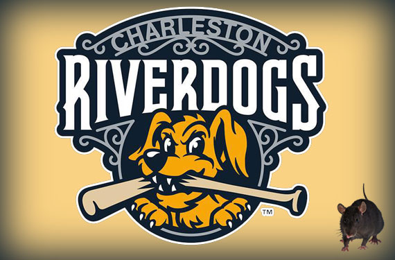 Aw, Rats! The Story Behind the Charleston RiverDogs