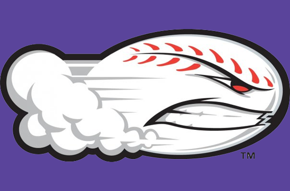 The Perfect Union: The Story Behind the Winston-Salem Dash