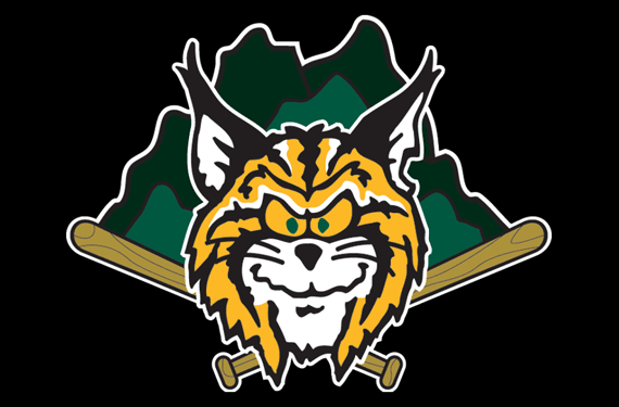 Lynchburg Hillcats Logos History - Carolina League (CRL) - Chris ...