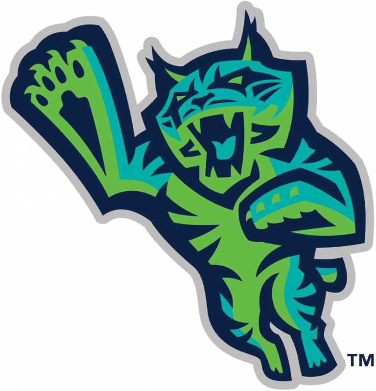 Lynchburg Hillcats 2025 Schedule Biddie Nicolea