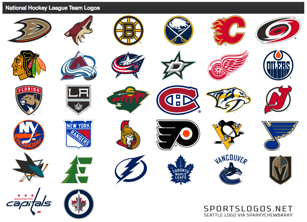 NHL/How EVERY Team Got Its Name And Identity (Part 1) 