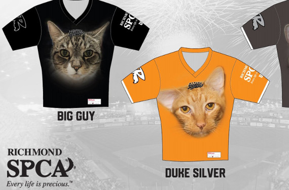 Richmond Flying Squirrels help cats find a home with promotional uniforms