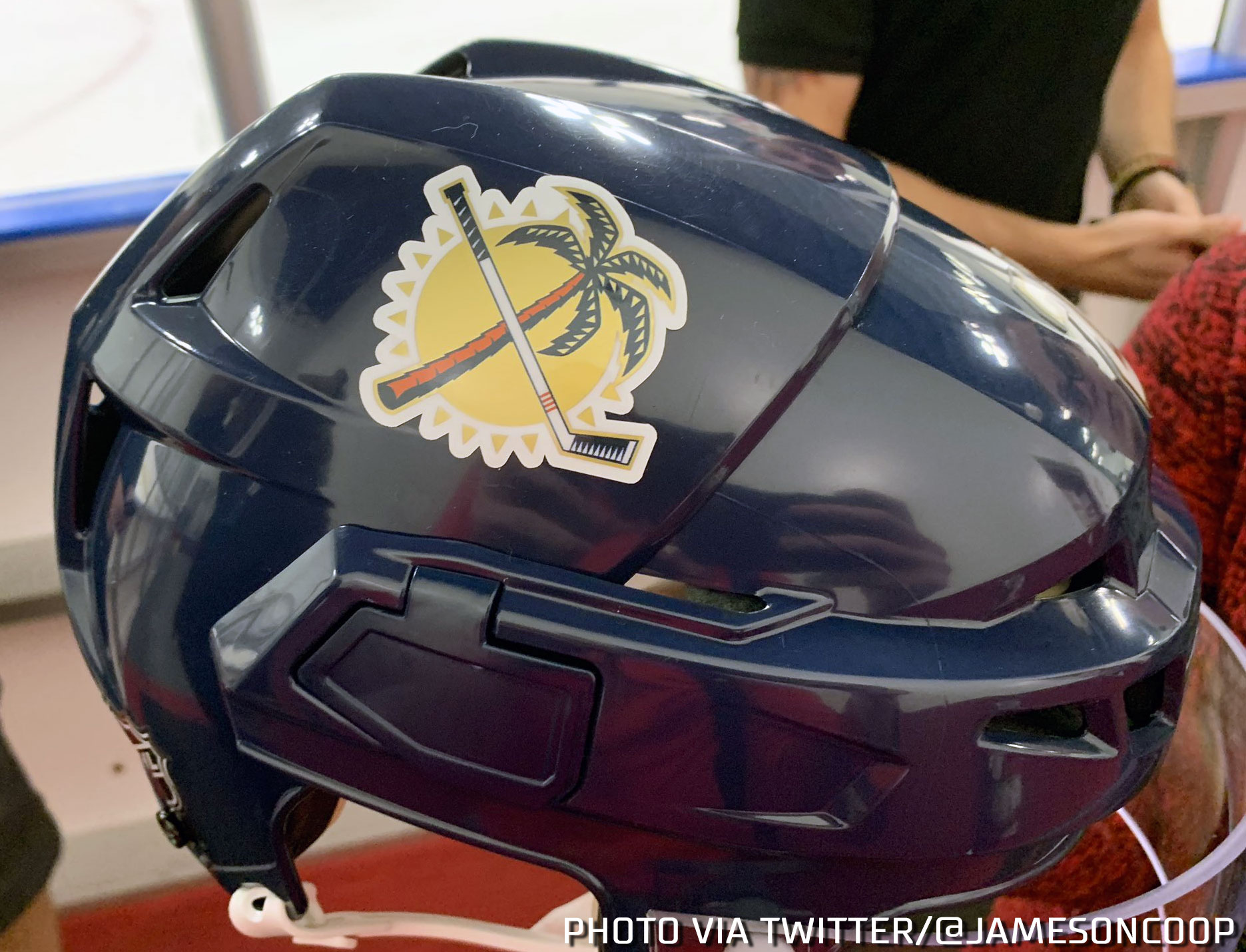 Florida Panthers Original Palm Tree Logo Returns – SportsLogos.Net News