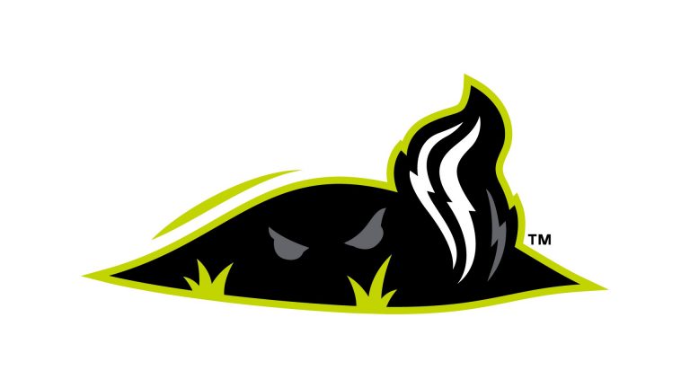 Tarp Skunks bring baseball back to Jamestown – SportsLogos.Net News