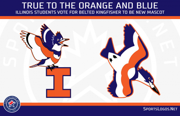 Conn: Why the belted kingfisher works for the Fighting Illini