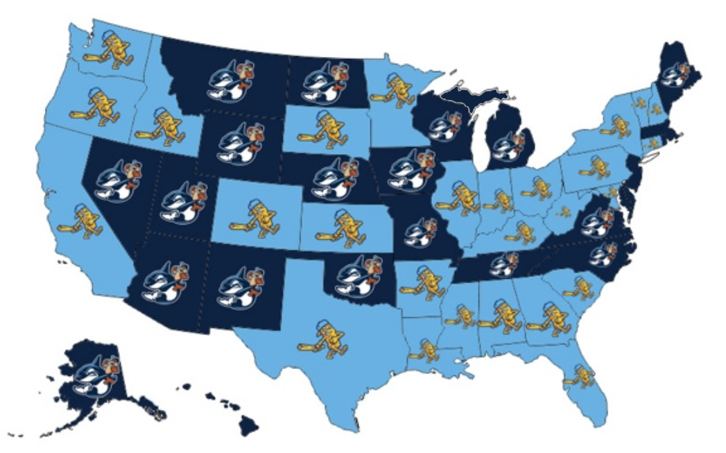 Fish Sticks edge Seal Slingers in close vote for Dub Sea team name