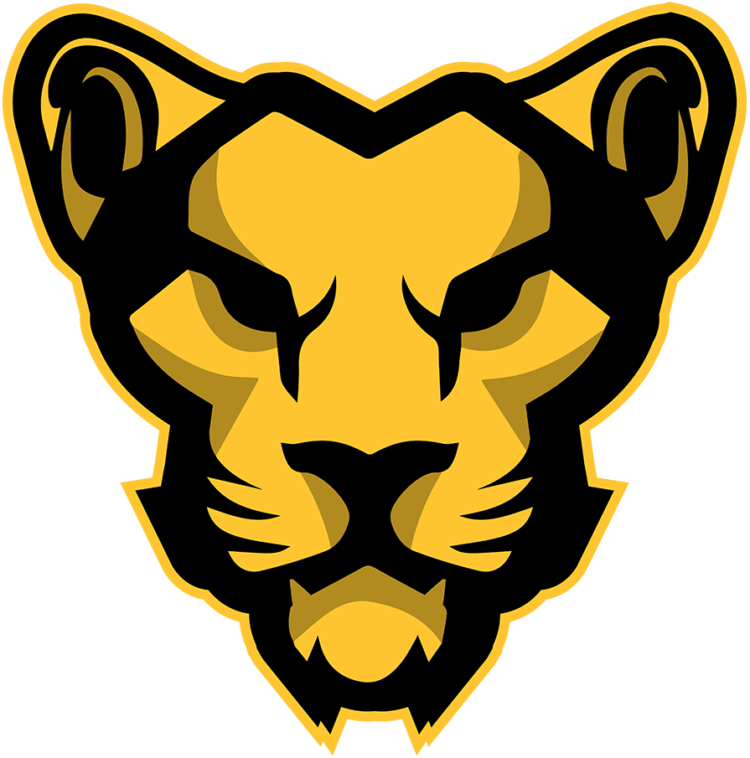 Boston Pride Logos and Uniform History – SportsLogos.Net News