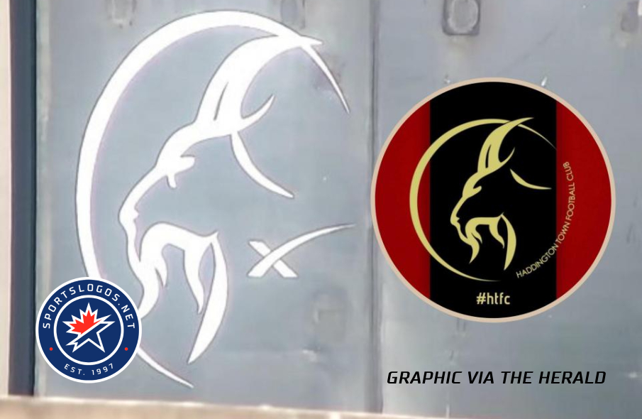 Amateur Football Club in Scotland Shocked to Find SpaceX 'Stole Our Badge'