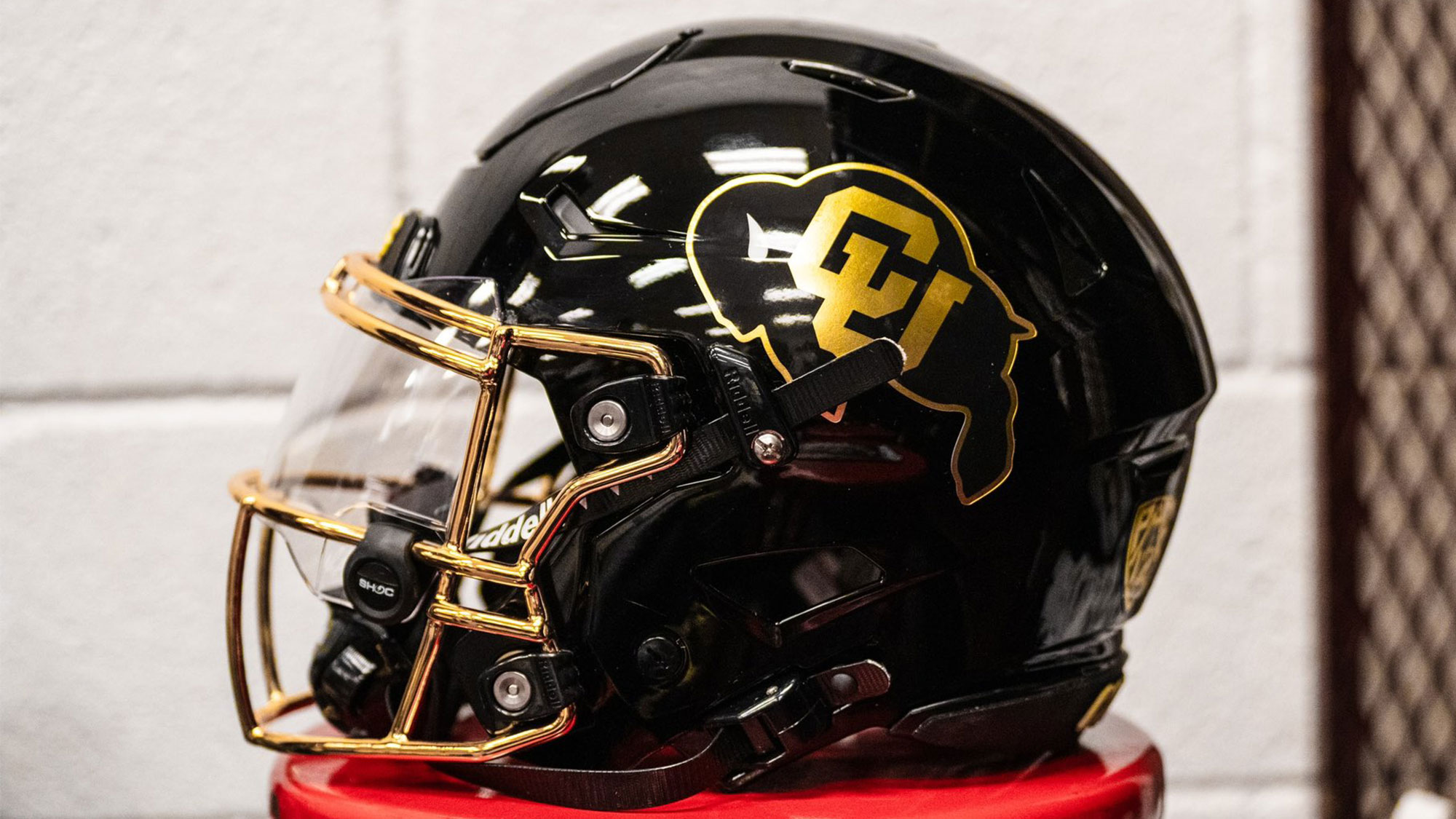 Colorado Buffaloes 2024 Denys Marlena