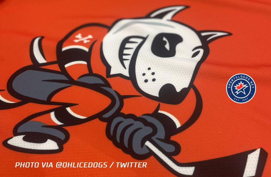 OHL's Niagara IceDogs Paint the Rink Orange to Raise Cancer Research Funds