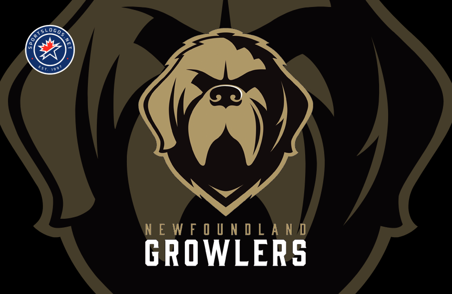 Looking Back at the ECHL's Newfoundland Growlers