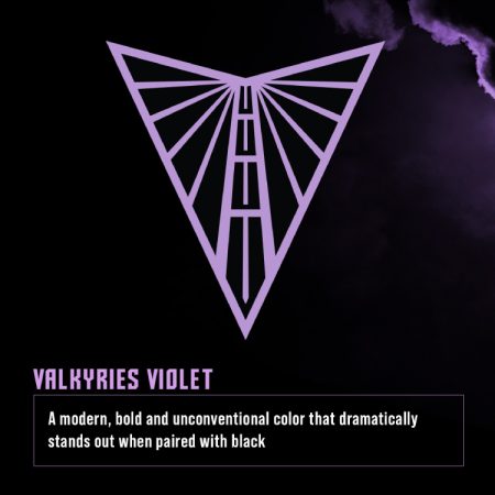 Golden State Valkyries (@wnbagoldenstate) May 14, 2024