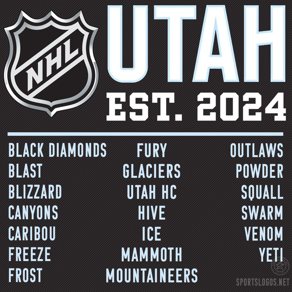 The twenty names the Utah NHL team asked the public to choose from