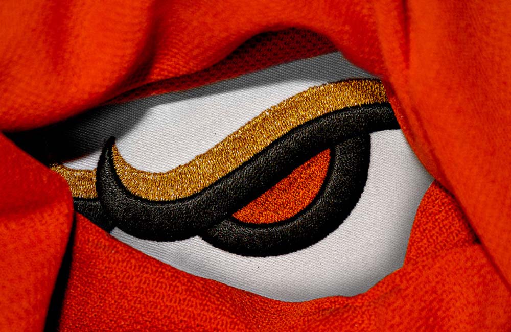 An Apparent Leak of the New Anaheim Ducks Uniforms & Logo?