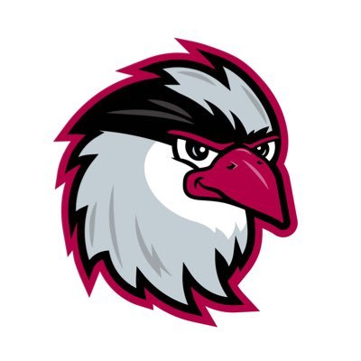 Idaho Falls Chukars Update Logos for First Time in Two Decades