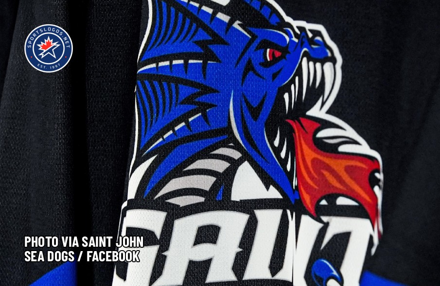 QMJHL's Sea Dogs Put Own Twist on Saint John Hockey History With 'Flames Night' Jerseys